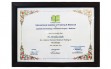 Certificate-No-6